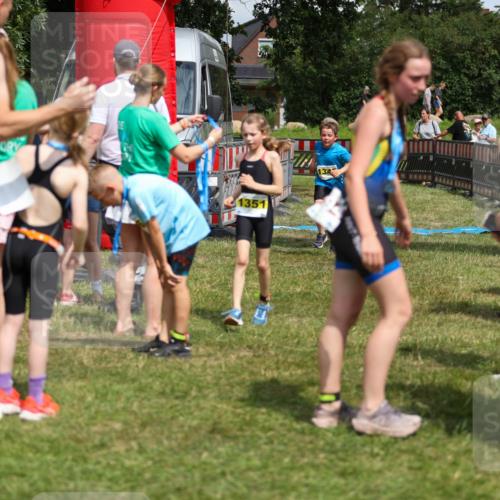 21.06.2026 - 29. Vierlanden-Triathlon Andreas Tolksdorf http://msf.ph/oto/9917804 21.06.2026 15:15:45 Ziel 1274, 1351 meine-sportfotos.de