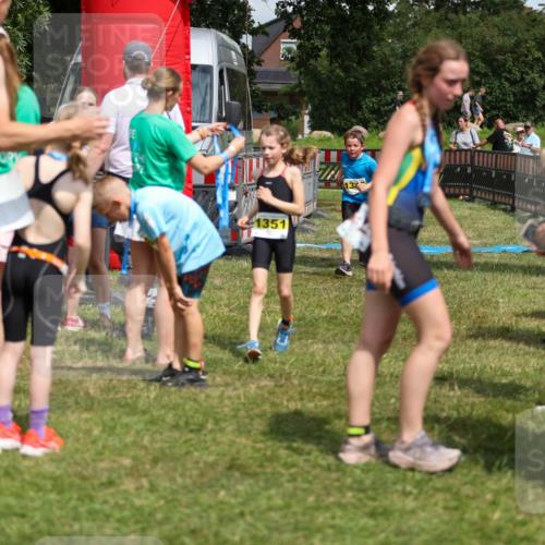 21.06.2026 - 29. Vierlanden-Triathlon Andreas Tolksdorf http://msf.ph/oto/9917805 21.06.2026 15:15:45 Ziel 1274, 1351 meine-sportfotos.de
