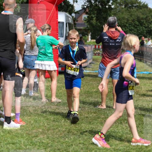 21.06.2026 - 29. Vierlanden-Triathlon Andreas Tolksdorf http://msf.ph/oto/9917840 21.06.2026 15:16:12 Ziel 247 meine-sportfotos.de