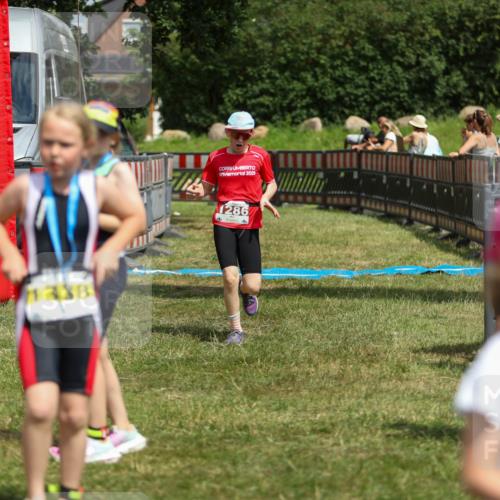 21.06.2026 - 29. Vierlanden-Triathlon Andreas Tolksdorf http://msf.ph/oto/9917859 21.06.2026 15:16:49 Ziel 1286 meine-sportfotos.de