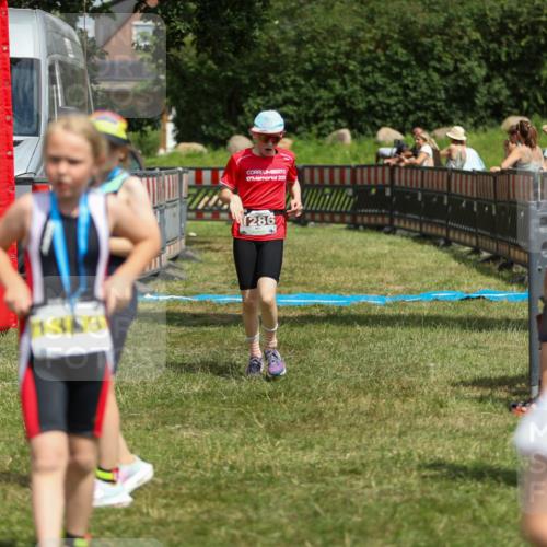 21.06.2026 - 29. Vierlanden-Triathlon Andreas Tolksdorf http://msf.ph/oto/9917861 21.06.2026 15:16:49 Ziel 1286 meine-sportfotos.de