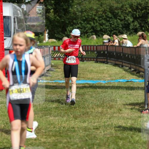 21.06.2026 - 29. Vierlanden-Triathlon Andreas Tolksdorf http://msf.ph/oto/9917863 21.06.2026 15:16:49 Ziel 1286 meine-sportfotos.de