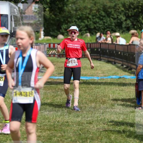 21.06.2026 - 29. Vierlanden-Triathlon Andreas Tolksdorf http://msf.ph/oto/9917864 21.06.2026 15:16:50 Ziel 1286 meine-sportfotos.de