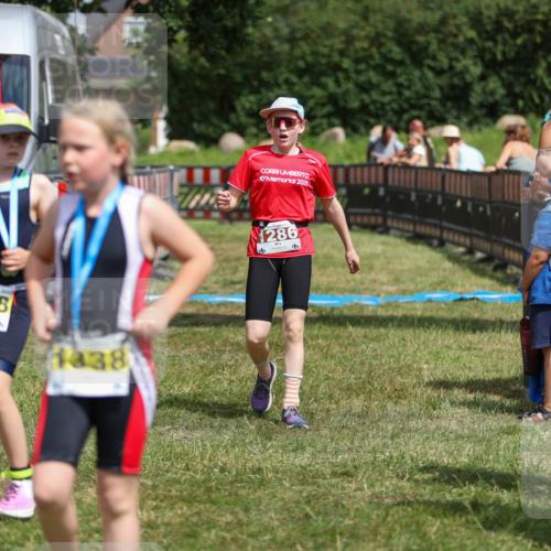 21.06.2026 - 29. Vierlanden-Triathlon Andreas Tolksdorf http://msf.ph/oto/9917865 21.06.2026 15:16:50 Ziel 1286 meine-sportfotos.de