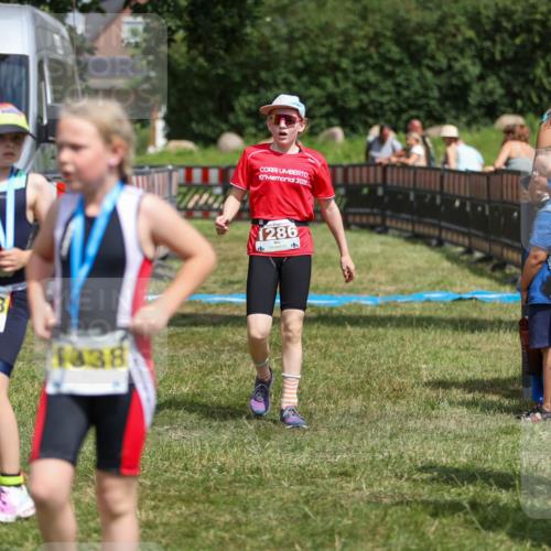 21.06.2026 - 29. Vierlanden-Triathlon Andreas Tolksdorf http://msf.ph/oto/9917866 21.06.2026 15:16:50 Ziel 1286 meine-sportfotos.de