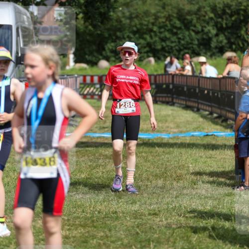 21.06.2026 - 29. Vierlanden-Triathlon Andreas Tolksdorf http://msf.ph/oto/9917867 21.06.2026 15:16:50 Ziel 1286 meine-sportfotos.de