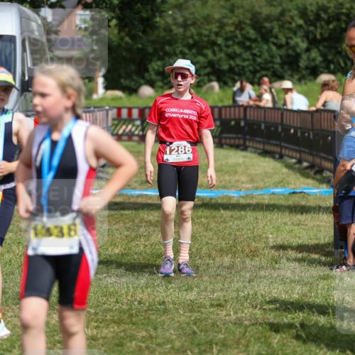 21.06.2026 - 29. Vierlanden-Triathlon Andreas Tolksdorf http://msf.ph/oto/9917868 21.06.2026 15:16:50 Ziel 1286 meine-sportfotos.de