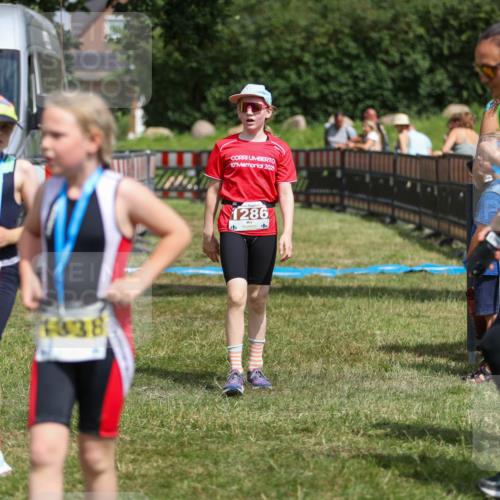 21.06.2026 - 29. Vierlanden-Triathlon Andreas Tolksdorf http://msf.ph/oto/9917869 21.06.2026 15:16:50 Ziel 1286 meine-sportfotos.de