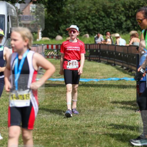 21.06.2026 - 29. Vierlanden-Triathlon Andreas Tolksdorf http://msf.ph/oto/9917870 21.06.2026 15:16:50 Ziel 1286 meine-sportfotos.de