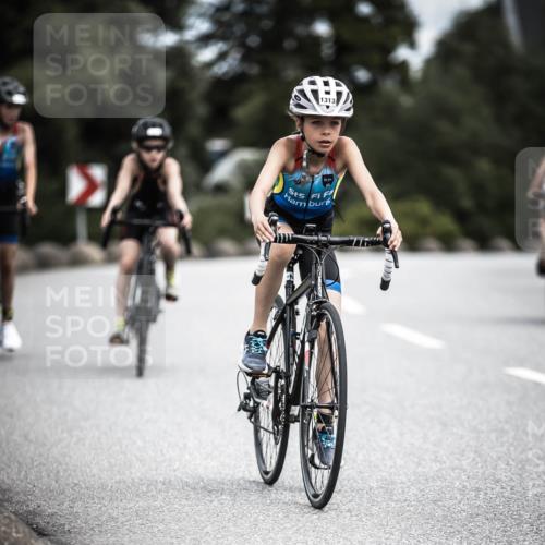 21.06.2026 - 29. Vierlanden-Triathlon H.Heesch http://msf.ph/oto/9926115 21.06.2026 14:56:41 Radfahren 1313 meine-sportfotos.de