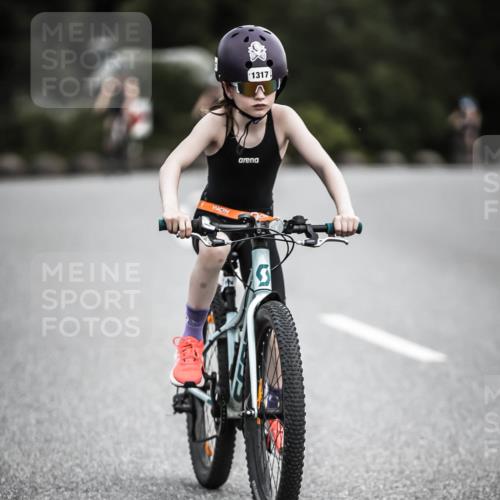21.06.2026 - 29. Vierlanden-Triathlon H.Heesch http://msf.ph/oto/9926633 21.06.2026 14:58:36 Radfahren 1317 meine-sportfotos.de