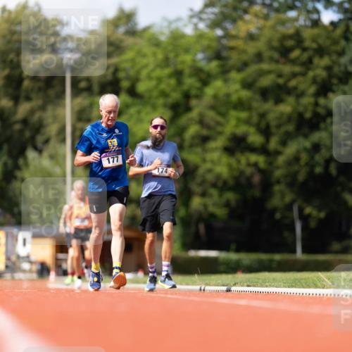 08.08.2026 - Nacht der Zehner Michael Strokosch http://msf.ph/oto/9927444 08.08.2026 14:59:46 Laufen 177, 174 meine-sportfotos.de