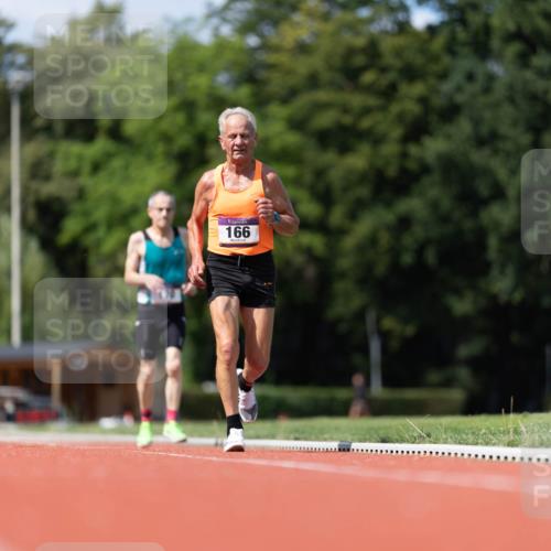 08.08.2026 - Nacht der Zehner Michael Strokosch http://msf.ph/oto/9927449 08.08.2026 14:59:51 Laufen 166 meine-sportfotos.de