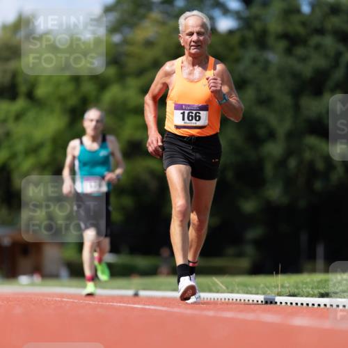 08.08.2026 - Nacht der Zehner Michael Strokosch http://msf.ph/oto/9927453 08.08.2026 14:59:52 Laufen 166 meine-sportfotos.de