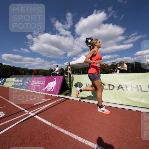 08.08.2026 - Nacht der Zehner Michael Strokosch http://msf.ph/oto/9927648 08.08.2026 15:53:24 Laufen  meine-sportfotos.de