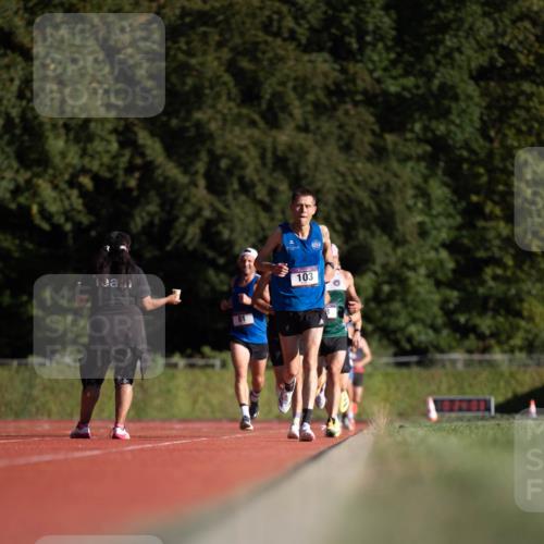 08.08.2026 - Nacht der Zehner Michael Strokosch http://msf.ph/oto/9929235 08.08.2026 18:34:30 Laufen 81, 103 meine-sportfotos.de