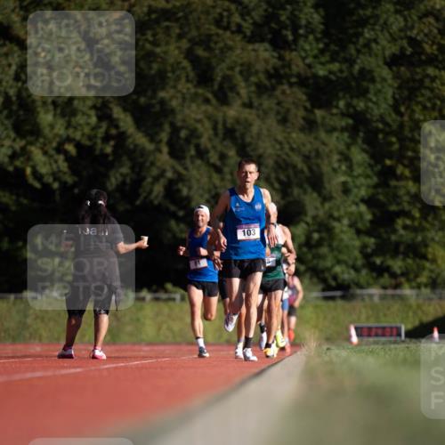 08.08.2026 - Nacht der Zehner Michael Strokosch http://msf.ph/oto/9929236 08.08.2026 18:34:30 Laufen 103 meine-sportfotos.de
