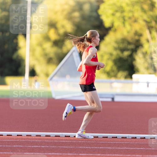 08.08.2026 - Nacht der Zehner Michael Strokosch http://msf.ph/oto/9930125 08.08.2026 19:38:16 Laufen  meine-sportfotos.de