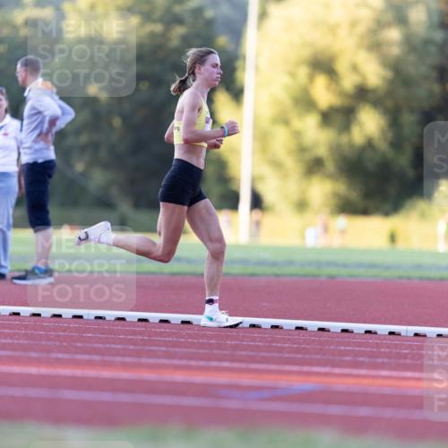 08.08.2026 - Nacht der Zehner Michael Strokosch http://msf.ph/oto/9930346 08.08.2026 19:41:19 Laufen  meine-sportfotos.de