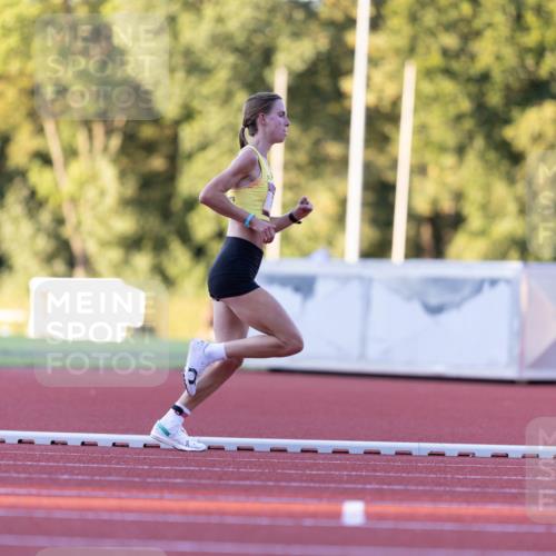08.08.2026 - Nacht der Zehner Michael Strokosch http://msf.ph/oto/9930358 08.08.2026 19:41:20 Laufen 6 meine-sportfotos.de