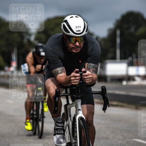 16.08.2026 - KN Förde Triathlon 2026 H.Heesch http://msf.ph/oto/9978256 16.08.2026 11:31:35 Radfahren 377, 395 meine-sportfotos.de