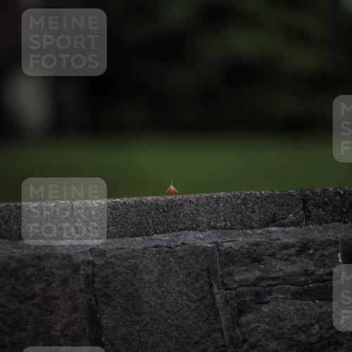 16.08.2026 - KN Förde Triathlon 2026 H.Heesch http://msf.ph/oto/9981345 16.08.2026 12:43:04 Radfahren  meine-sportfotos.de