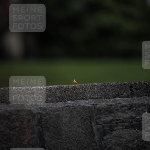 16.08.2026 - KN Förde Triathlon 2026 H.Heesch http://msf.ph/oto/9981346 16.08.2026 12:43:04 Radfahren  meine-sportfotos.de