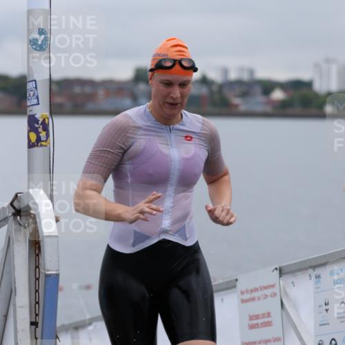 16.08.2026 - KN Förde Triathlon 2026 Antke Förster http://msf.ph/oto/9992711 16.08.2026 09:20:56 Schwimmen 179, 137, 167, 214, 230, 239 meine-sportfotos.de