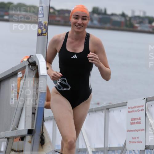 16.08.2026 - KN Förde Triathlon 2026 Antke Förster http://msf.ph/oto/9992850 16.08.2026 09:23:36 Schwimmen 226, 240, 252, 134, 222, 246, 252 meine-sportfotos.de